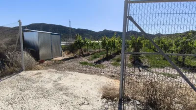 Terreno en venta en Calle Paraje La Serreta - Vista 4