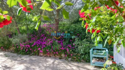 House in , Periferia, in El Campo, Rural Zone photo 24