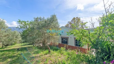 House in , Periferia, in El Campo, Rural Zone photo 29