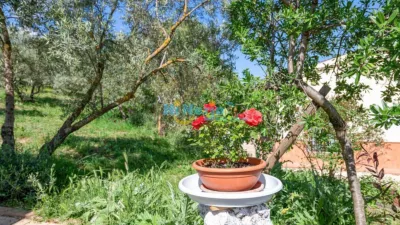 House in , Periferia, in El Campo, Rural Zone photo 3