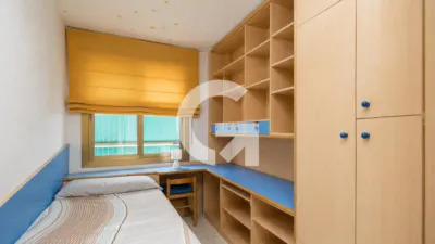 Apartment in Sant Ildefons photo 14