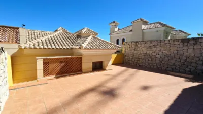 Townhouse in Algorfa photo 11