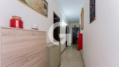 Apartment on Carrer del Doctor Martí i Julià photo 16