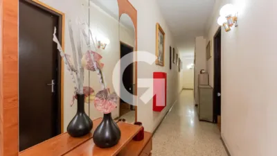 Apartment on Carrer del Doctor Martí i Julià photo 7
