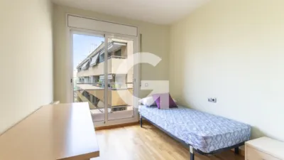Apartment on Pj Pau de La Street photo 15