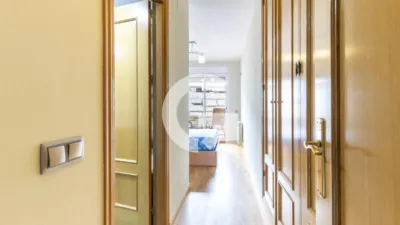 Apartment on Pj Pau de La Street photo 4