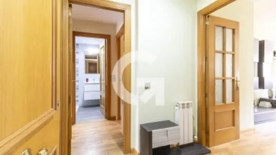 Apartment on Pj Pau de La Street photo 6