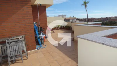 Apartment on Carrer del Coronel Sanfeliu photo 5
