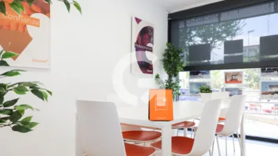 Apartment in Sant Ildefons photo 15