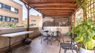 Apartment on Ps Comte de Vilardaga Street photo 21