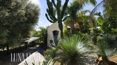 House in Bellamar photo 22
