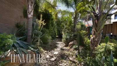 House in Bellamar photo 24
