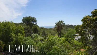 House in Bellamar photo 67