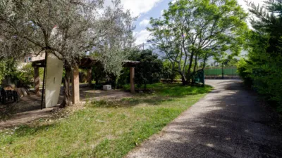 House in Camí de Can Guida photo 5