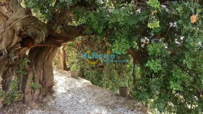 Finca rústica en alquiler en , Zona de Playa, Frigiliana de 950 €<span>/mes</span>