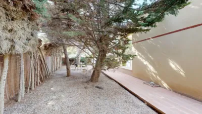 House in Cabo de Palos photo 40