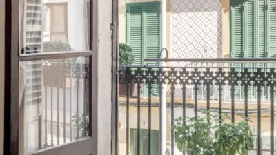 Apartment in Santa Catalina photo 5