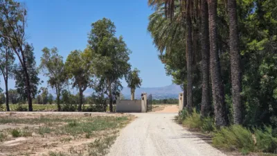 Casa – Elx - Elche - Vista 2