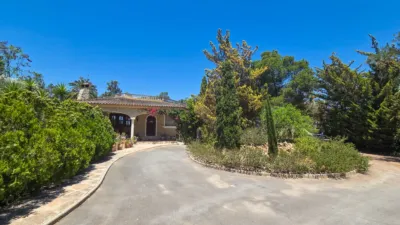 Casa – Elx - Elche - Vista 4