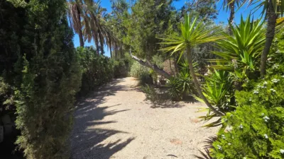 Casa – Elx - Elche - Vista 5