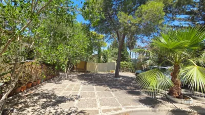 Casa – Elx - Elche - Más