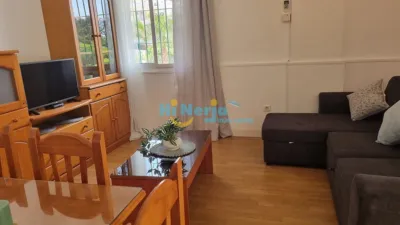Apartment in , Beach Area, Near the Sea, Commercial Area, Residential Area photo 25