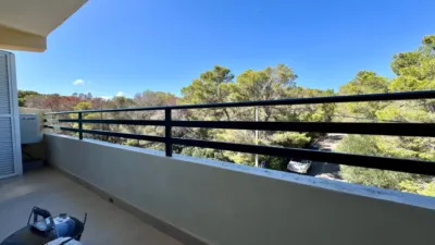 Apartment in Sol de Mallorca-Portals Vells photo 17