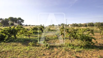 Terreno en venta en Benissa Interior - Vista 3