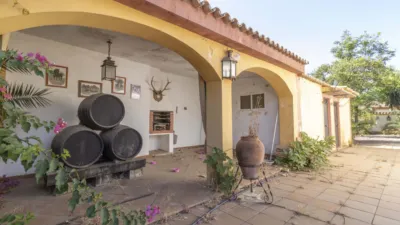 House in Espartinas photo 11