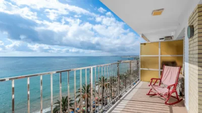 Apartment in Torrevieja photo 22