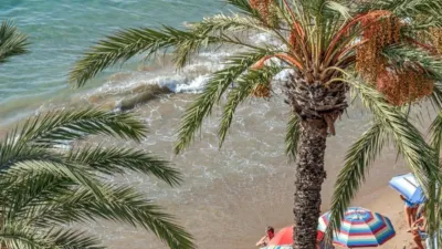 Apartment in Torrevieja photo 27