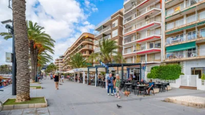 Apartment in Torrevieja photo 28