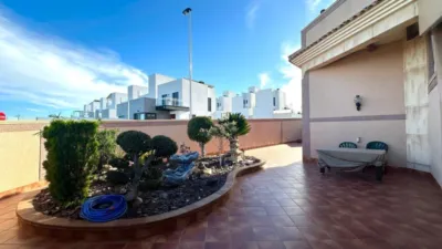 Semi-detached villa in Los Altos photo 5