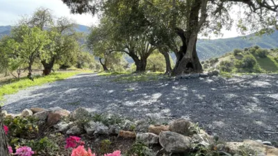 Rustic Finca in Álora photo 18