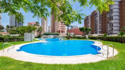 Apartment on the Beach photo 40