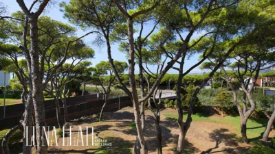 Apartment in Gavà Mar photo 8