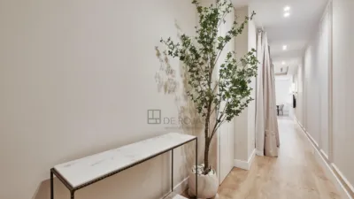 Apartment on Lope de Rueda Street photo 2