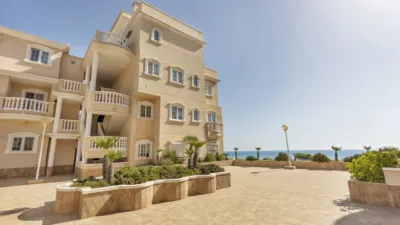 Apartment in Guardamar del Segura photo 29