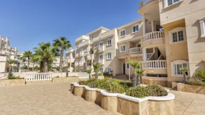 Apartment in Guardamar del Segura photo 30