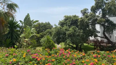 Townhouse in Cabopino - La Reserva de Marbella photo 22