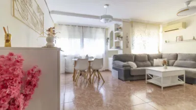 Flat in El Cerro photo 9