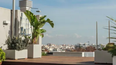 Penthouse in Son Armadans photo 42