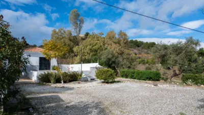 Rustic Finca in Centro photo 15