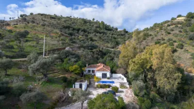Rustic Finca in Centro photo 4