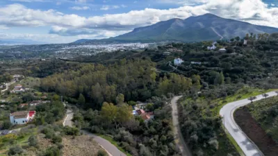 Rustic Finca in Centro photo 7