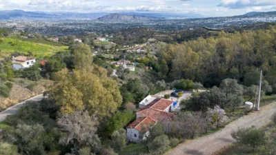 Rustic Finca in Centro photo 8