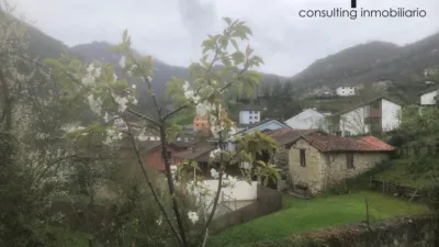 Apartment in Campo de Caso photo 59