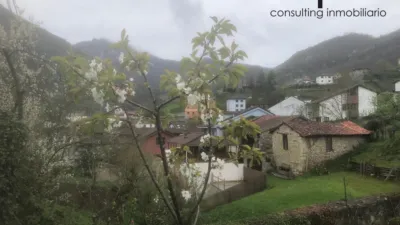 Apartment in Campo de Caso photo 60