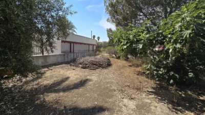 Casa – Elx - Elche - Vista 3