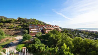 Duplex penthouse in Passatge dels Pins Melis photo 21